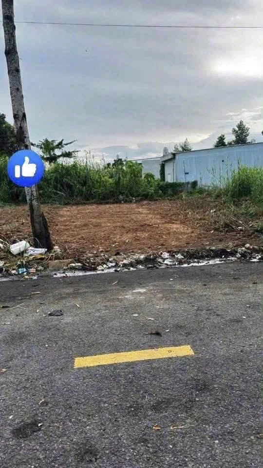 Bán đất nền mặt tiền Nguyễn Thái Bình 100m2 thổ cư, Lấp Vò, Đồng Tháp, giá 830 triệu - Ảnh 1