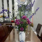 Cho thuê nhà 4 tầng, 2 mặt tiền 70m², 3 PN Hùng Dương Vương 12 triệu/tháng - Ảnh thu nhỏ 1