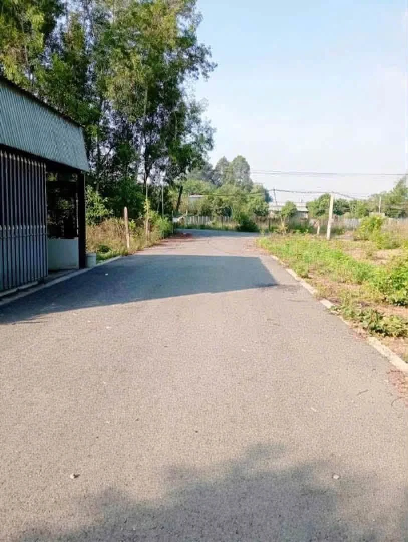Bán đất 4.395m2 cây lâu năm mặt tiền 33m đường nhựa tại Phú An, Bến Cát - Ảnh thu nhỏ 4