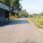 Bán đất 4.395m2 cây lâu năm mặt tiền 33m đường nhựa tại Phú An, Bến Cát - Ảnh thu nhỏ 4