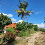 Bán đất 125 m² thổ cư Tây Ninh 285 triệu - Ảnh thu nhỏ 3