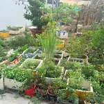Bán đất Vĩnh Hòa Nha Trang 45m² sổ hồng, 1,82 tỷ - Ảnh thu nhỏ 4