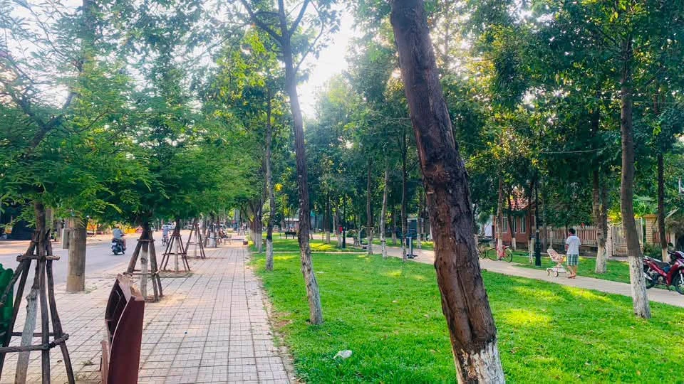 Bán đất mặt tiền Nguyễn Tự Tân Quảng Ngãi 100m2 4 tỷ - Ảnh thu nhỏ 3