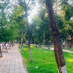 Bán đất mặt tiền Nguyễn Tự Tân Quảng Ngãi 100m2 4 tỷ - Ảnh thu nhỏ 3