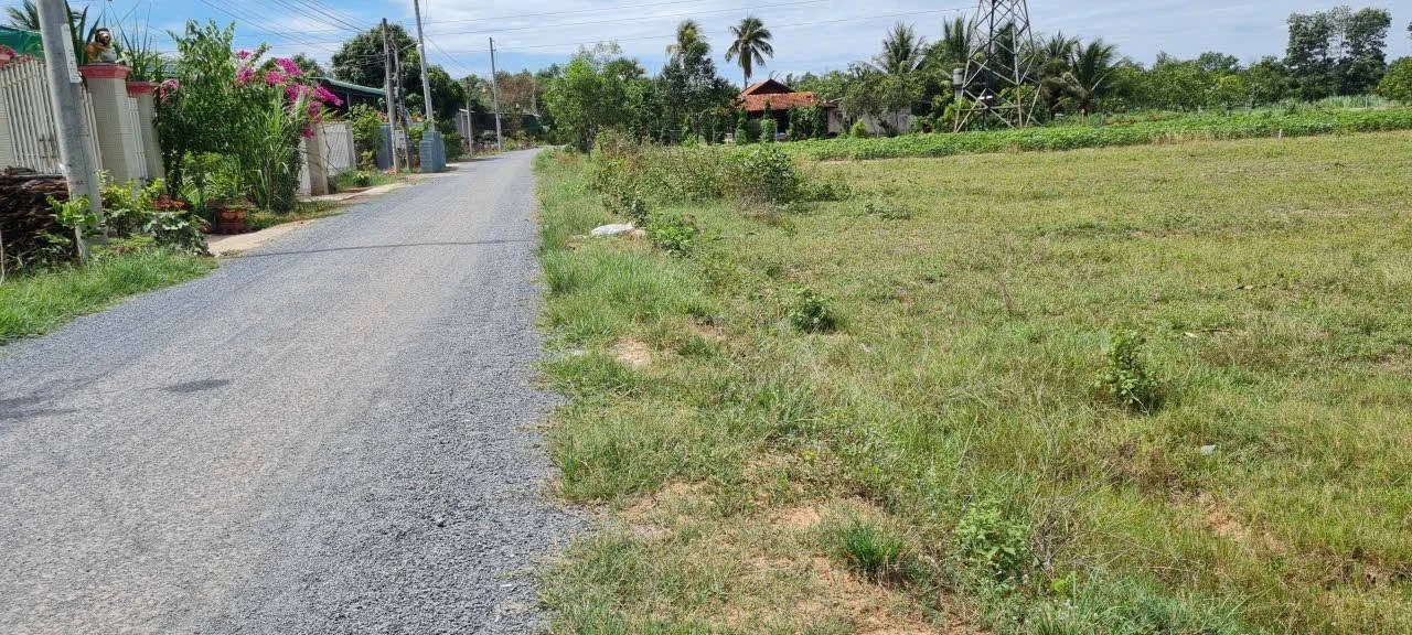 Bán đất mặt tiền đường nhựa 1.099m² Ấp Thạnh An, Xã Thạnh Bình, Tân Biên, Tây Ninh - Ảnh 1