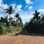 Bán đất nông nghiệp vườn cà phê 4,2 sào tại Buôn Kom Leo, Đắk Lắk - Ảnh thu nhỏ 1