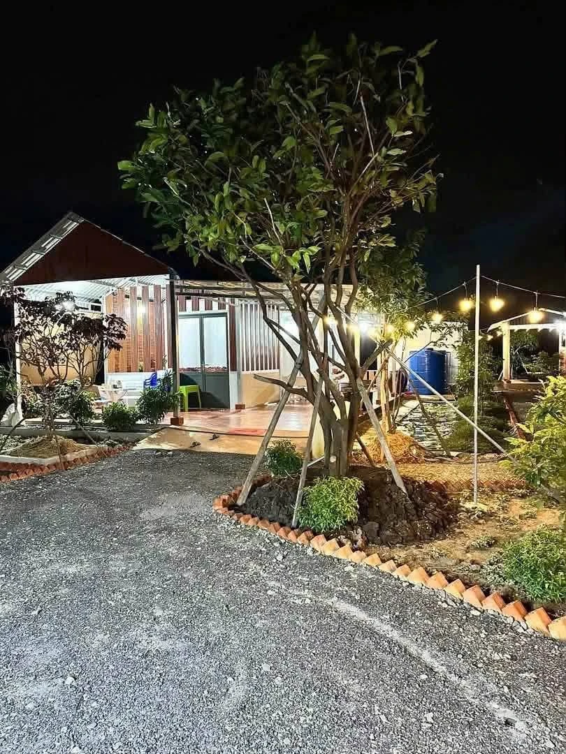 Bán nhà vườn 2PN, 952m² Hoà Phú, Châu Thành, Long An - 1 tỷ 350 - Ảnh thu nhỏ 3