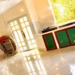 Bán nhà mặt tiền Bình Hoà 300m² 3 tỷ 2 Bình Dương - Ảnh thu nhỏ 4