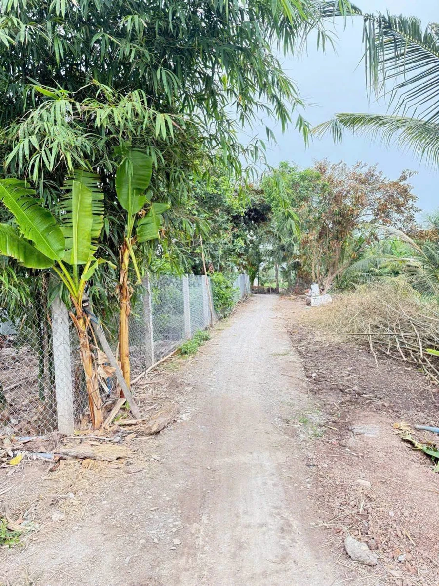 Bán đất vườn 1,4ha Thạnh Lộc Nhà Bè 850 triệu - Ảnh thu nhỏ 4