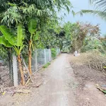 Bán đất vườn 1,4ha Thạnh Lộc Nhà Bè 850 triệu - Ảnh thu nhỏ 4