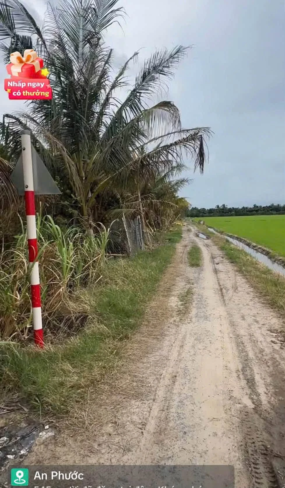 Bán vườn 756,6m² An Phước, Tân Hồng, Đồng Tháp - Ảnh 1