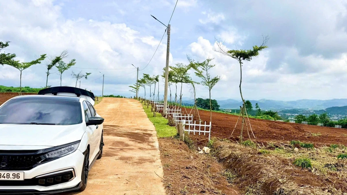 Bán đất thổ cư 6x24 giá 299 triệu tại Đinh Văn, Lâm Hà, Lâm Đồng - Ảnh thu nhỏ 5