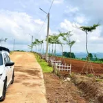 Bán đất thổ cư 6x24 giá 299 triệu tại Đinh Văn, Lâm Hà, Lâm Đồng - Ảnh thu nhỏ 5