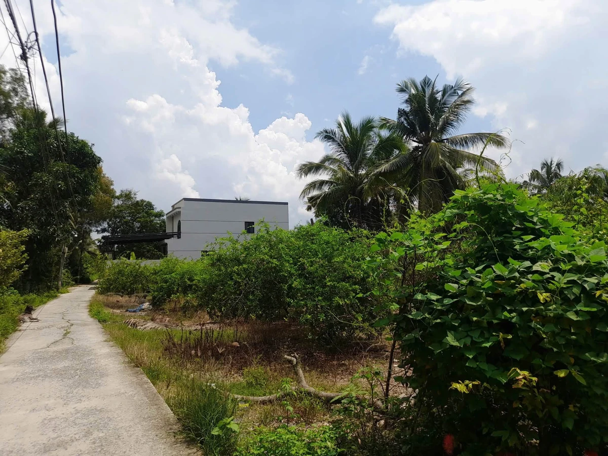 Bán đất biệt thự Phú Tân 786m² Bình Chánh 2,1 tỷ - Ảnh 1