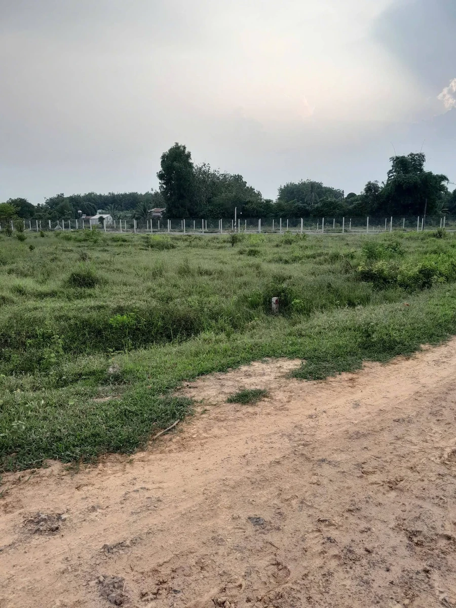 Bán 2 công đất gò 2000m² giá 380 triệu tại An Cơ, Châu Thành, Tây Ninh - Ảnh thu nhỏ 4