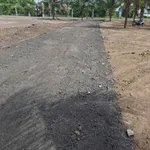 Bán đất Phước Hải 211m2, sổ riêng 1,35 tỷ - Ảnh thu nhỏ 1