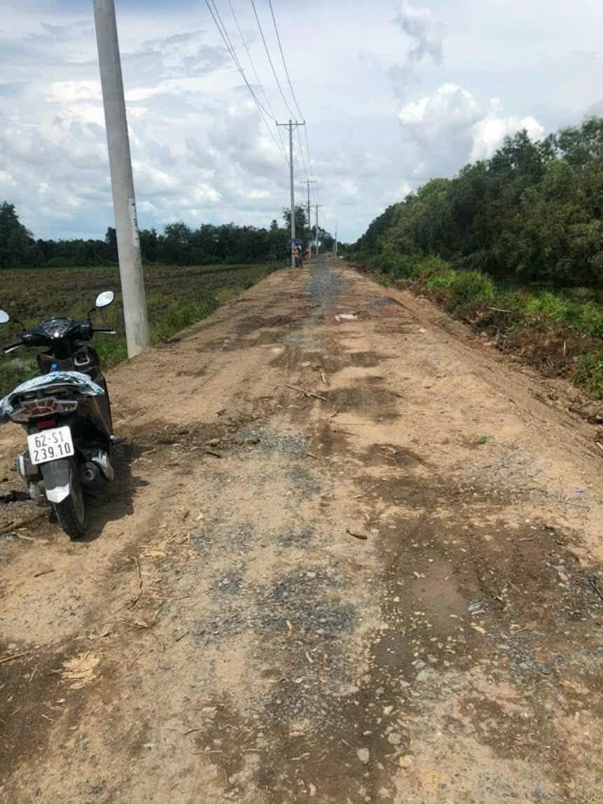 Bán đất 1008m² Đức Huệ Nhà Bè 450 triệu - Ảnh thu nhỏ 3
