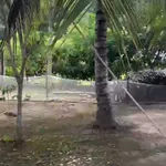 Bán lô đất 1.828m² xã Thạnh Bình Tây Ninh giá 1 tỷ - Ảnh thu nhỏ 4