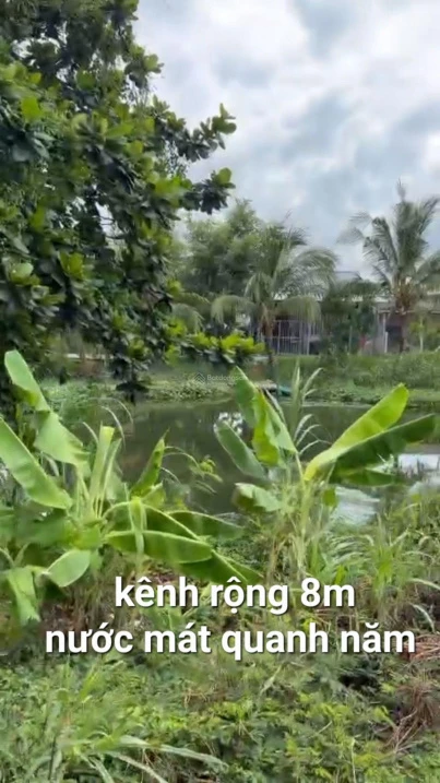 Đất gần biển, view kênh mặt tiền nhựa ĐT871C xã Tân Điền, Gò Công Đông Tiền Giang, 359 m2 giá 1,4tỷ - Ảnh thu nhỏ 5