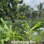 Đất gần biển, view kênh mặt tiền nhựa ĐT871C xã Tân Điền, Gò Công Đông Tiền Giang, 359 m2 giá 1,4tỷ - Ảnh thu nhỏ 5