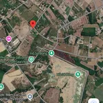 Bán đất nhà vườn 293.8m2 Phước Hải, cách biển 3km, 2 tỷ 3 - Ảnh thu nhỏ 2
