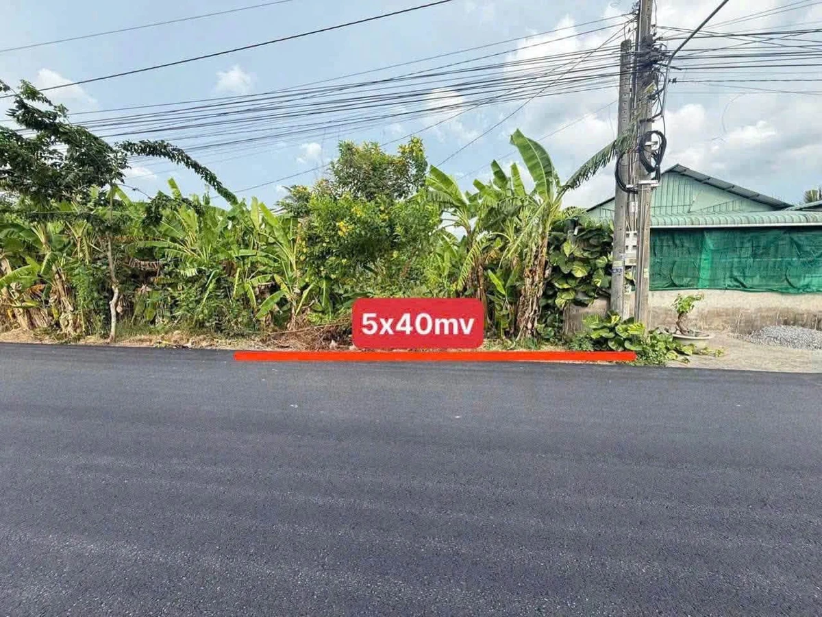 Bán đất mặt tiền Lộ Dừa 200m² Tây Ninh - Ảnh thu nhỏ 3