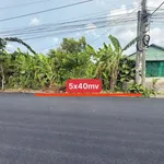 Bán đất mặt tiền Lộ Dừa 200m² Tây Ninh - Ảnh thu nhỏ 3