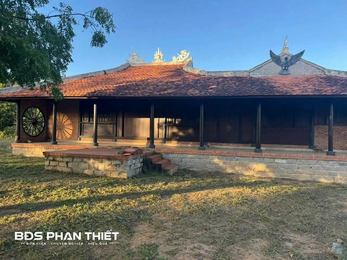 Bán đất Thiện Nghiệp Phan Thiết 2000m2 - Ảnh thu nhỏ 3