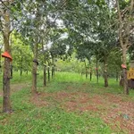 Bán đất cao su 81.332 m² Eakhal, Đắk Lắk, 14 tỷ 500 - Ảnh thu nhỏ 3