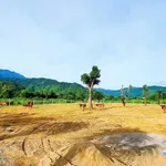 Bán nhà vườn 1200m² Hòa Vang 3 tỷ - Ảnh thu nhỏ 2