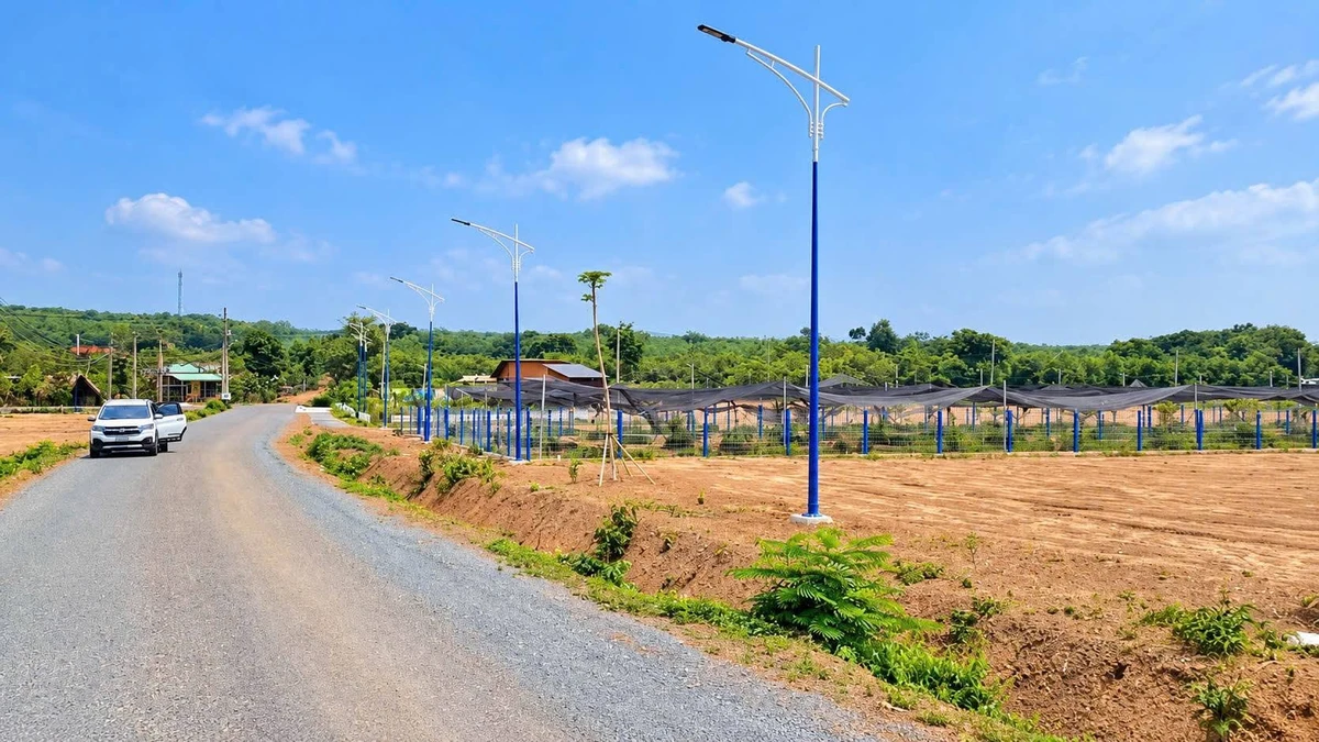 Bán đất sào 1000m2 sổ riêng tại Lộc Ninh, Bình Phước, giá dưới 200 triệu - Ảnh thu nhỏ 2