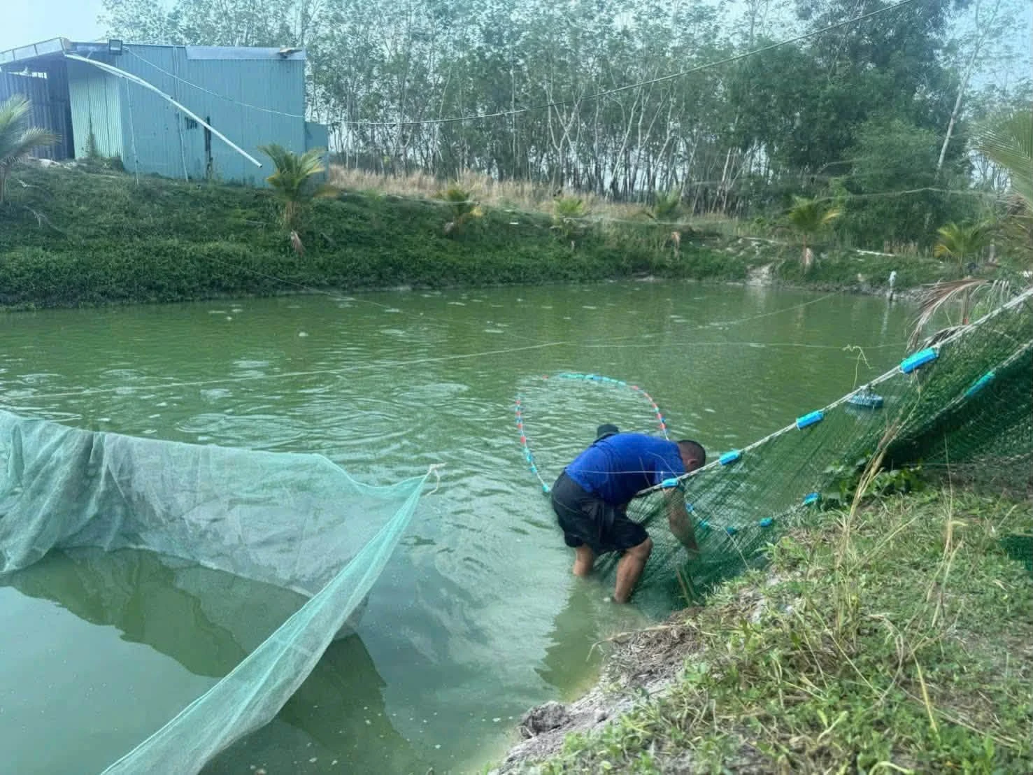 Bán gấp mảnh vườn 7000m2 tâm huyết Minh Hưng Chơn Thành - Ảnh 1