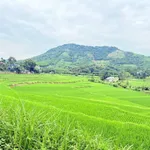 Bán đất góc 2 mặt tiền 358m² Kim Bôi Hòa Bình nhỉnh 700 triệu - Ảnh thu nhỏ 4
