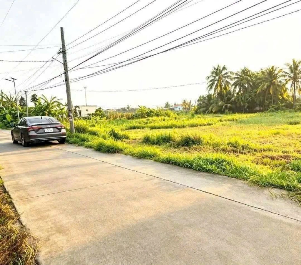 Bán đất thổ cư 110m² Châu Thành Long An 299 triệu - Ảnh thu nhỏ 3
