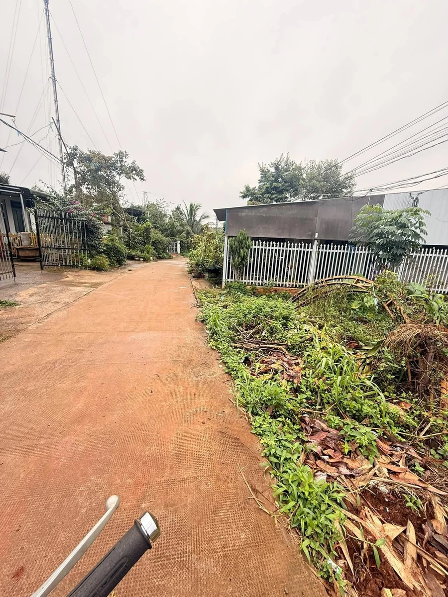 Bán đất nông nghiệp 300m² Nam Gia Nghĩa, Cần Giờ - Ảnh 1