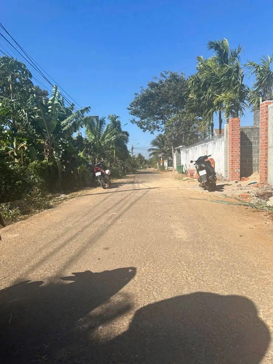 Bán lô đất 240m² đường A2 Nguyễn Xuân Nguyên, Bình Chánh - Ảnh thu nhỏ 3