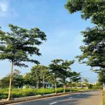 Bán đất nền Bửu Long 105m2, sổ hồng riêng 550 triệu - Ảnh thu nhỏ 2