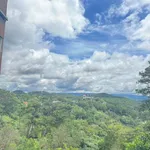 Bán đất 45m² view rừng thông Đà Lạt tặng nhà - Ảnh thu nhỏ 3