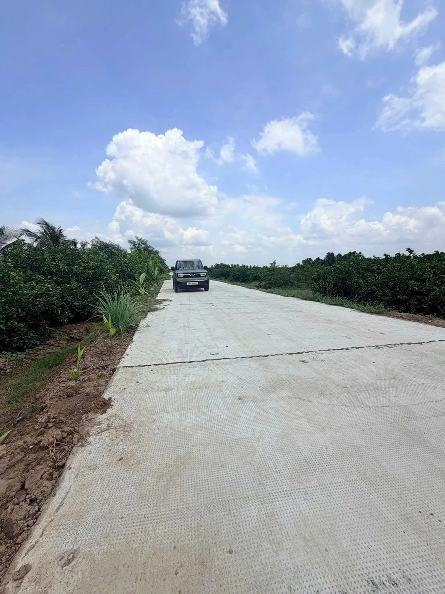 Bán đất vườn Thạnh Lợi Long An 500-750m2 560-690 triệu - Ảnh thu nhỏ 3