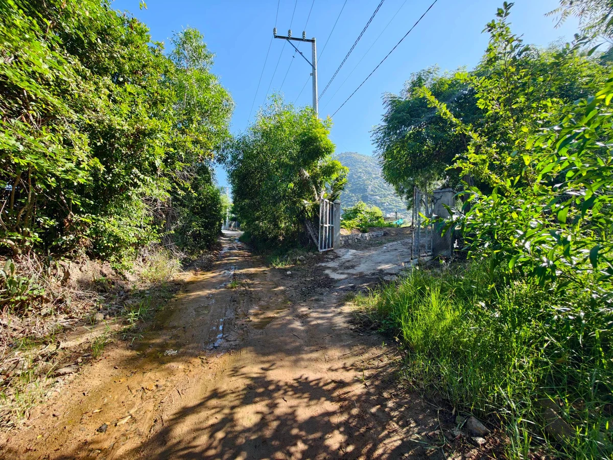 Bán 9.170m² đất nông nghiệp Khánh Tân, Ninh Thuận 4 tỷ - Ảnh thu nhỏ 2