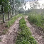 Bán đất Bình Mỹ 562,5m² giá 2,5 tỷ - Ảnh thu nhỏ 4