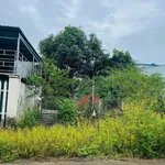 Bán lô đất 125m² hẻm 113 Nguyễn Cơ Thạch 1tỷ230tr - Ảnh thu nhỏ 4