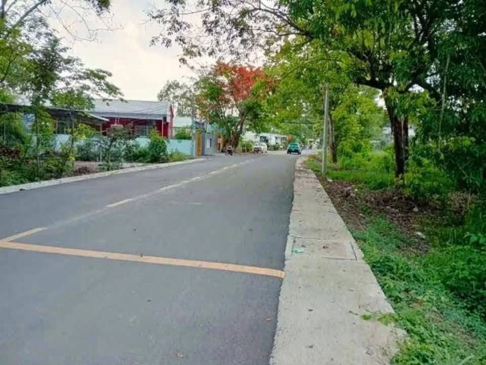 Bán lô đất 889m2 gần 1000m2 mặt tiền 20m Phú An Bình Dương, 6 tỷ - Ảnh thu nhỏ 5