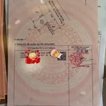 Bán đất 55m² Bình Trinh Đông, Tân Trụ, Long An - 199 triệu - Ảnh thu nhỏ 1