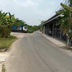 Bán đất Tân Định 60m² gần Trường Thỏ Ngọc, Bình Tân - Ảnh thu nhỏ 2