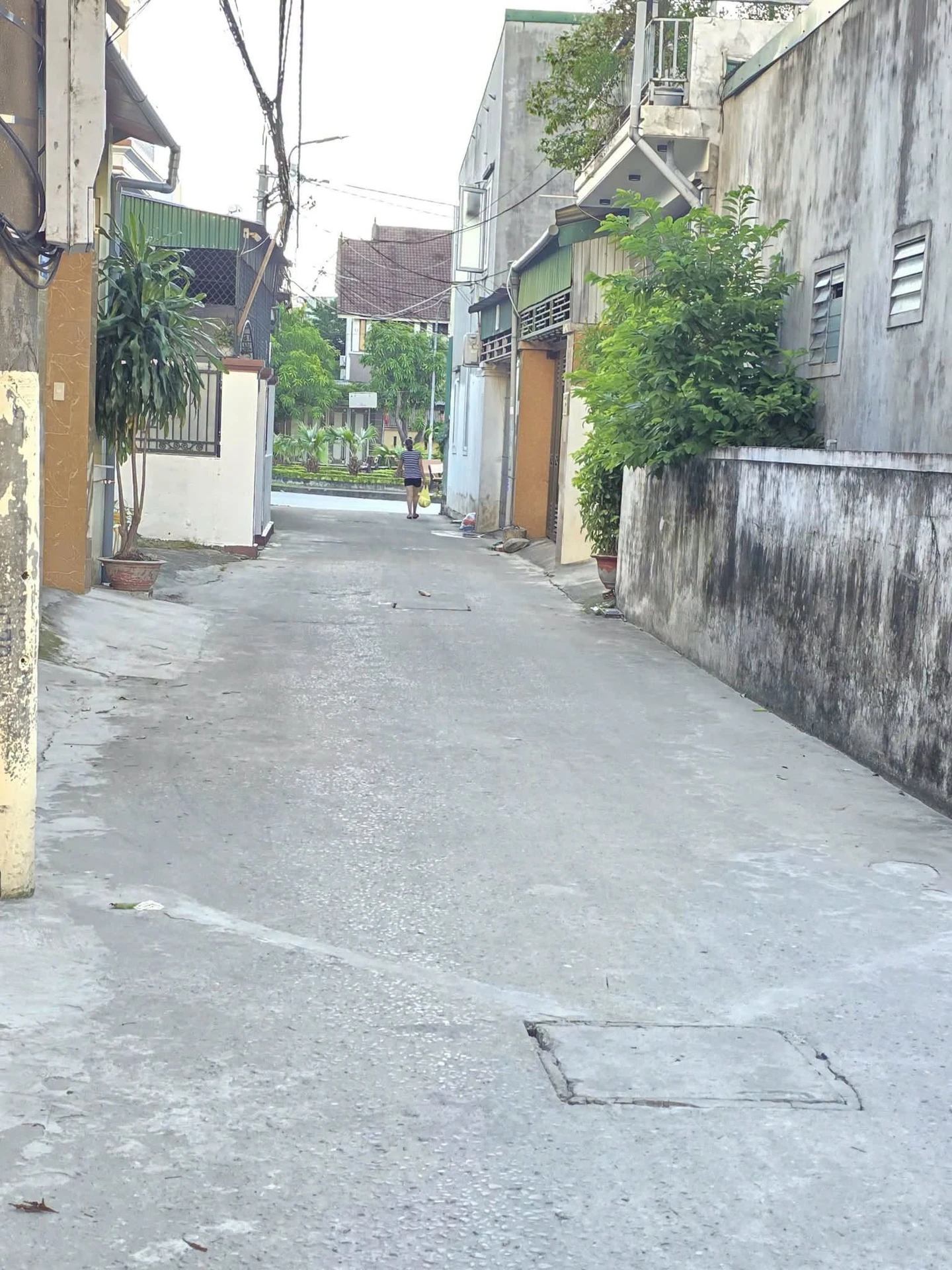 Bán đất 104m2 có 3 phòng trọ cho thuê Hà Huy Tập Quận 7 - Ảnh 1