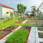 Bán nhà vườn nghỉ dưỡng 1600m2, 1 tỷ 850 triệu Phan Thiết - Ảnh thu nhỏ 5