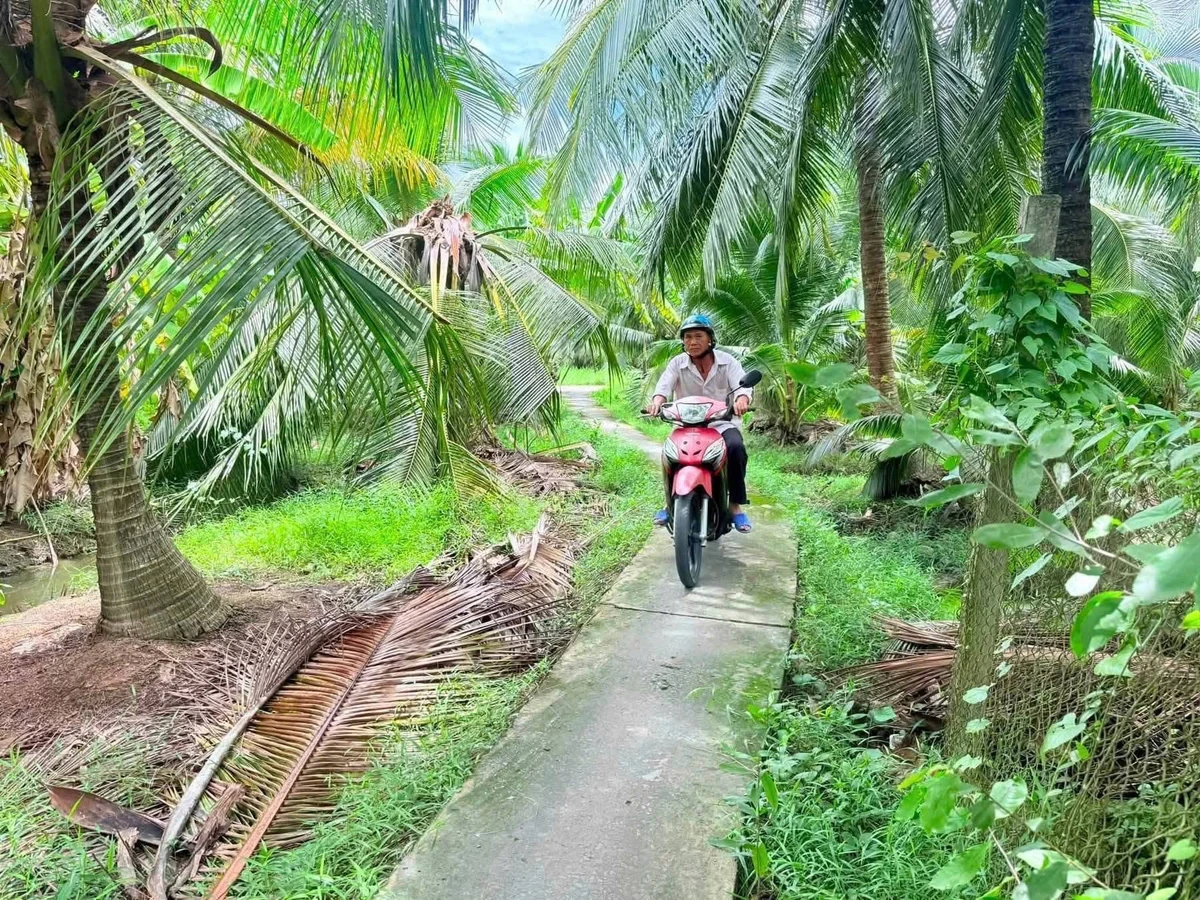 Bán đất vườn dừa Phú Khương 345m2 - Ảnh 1