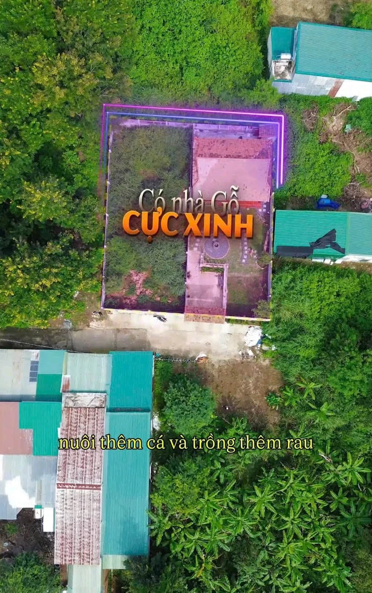Bán đất 500m² tặng nhà gỗ nghỉ dưỡng - 1,75 tỷ - Ảnh thu nhỏ 3