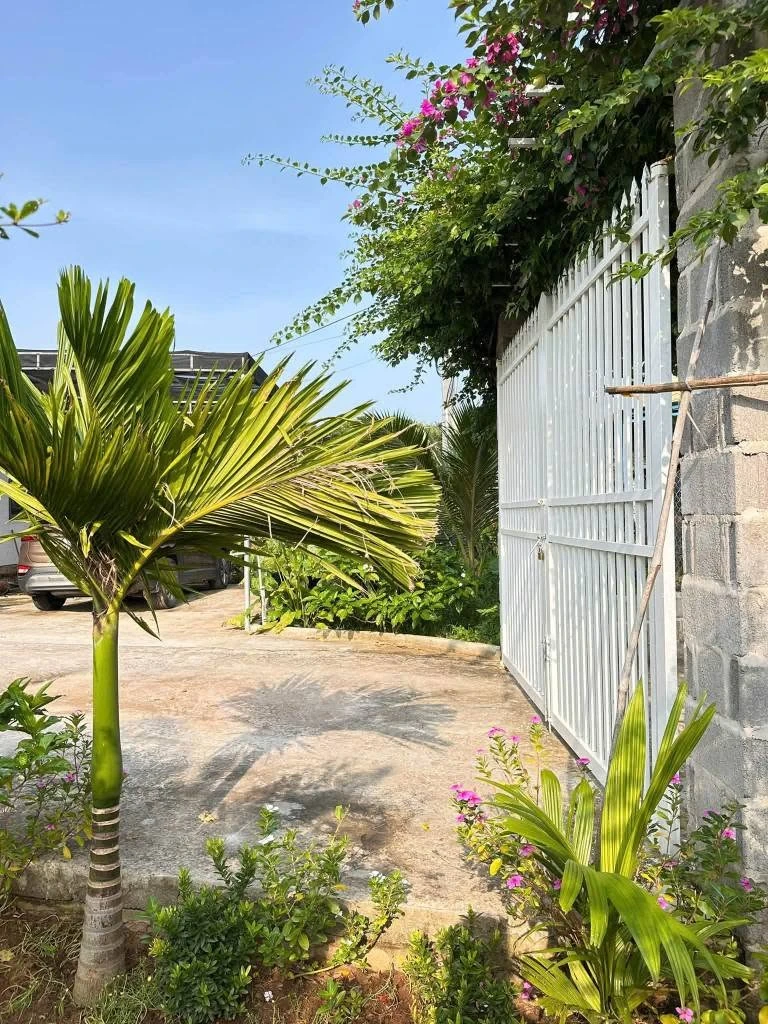 Bán nhà vườn 440m2 Phường Bình Thuận, Phan Thiết 2.5 tỷ - Ảnh 1